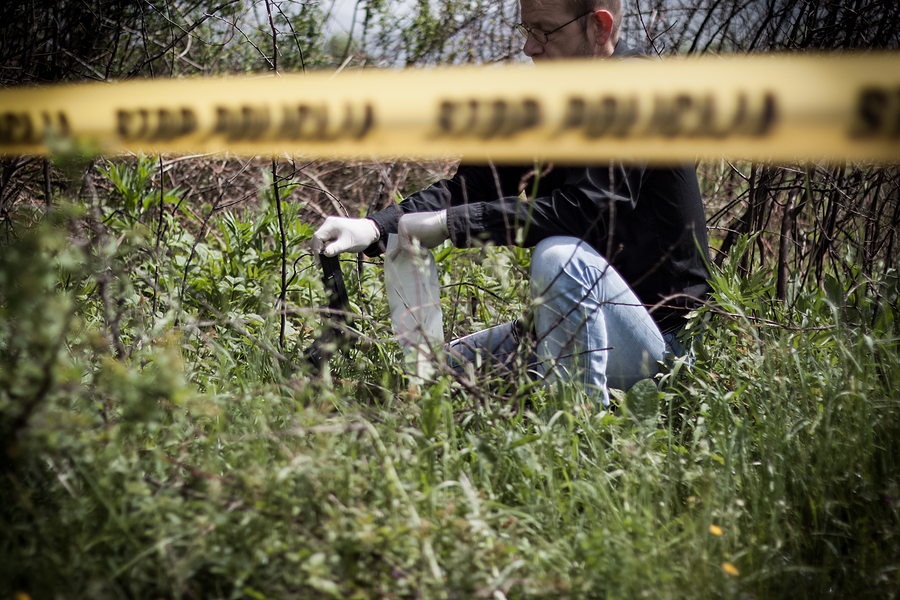 How Sexual Assault Investigations Begin